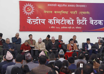 एमालेको संकल्प यात्राको कार्ययोजना पारित